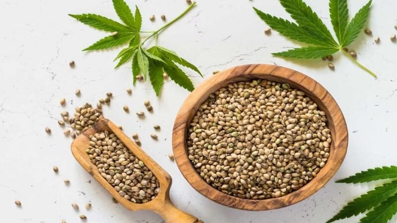 “भांग” खाओ और सेहत बनाओ…जैसा बताएंगे, वैसा ही करना