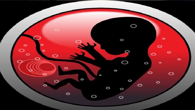 महिला के पेट में बच्चा, बच्चे के पेट में बच्चा! ऐसा आपने पहले कभी नहीं सुना होगा?