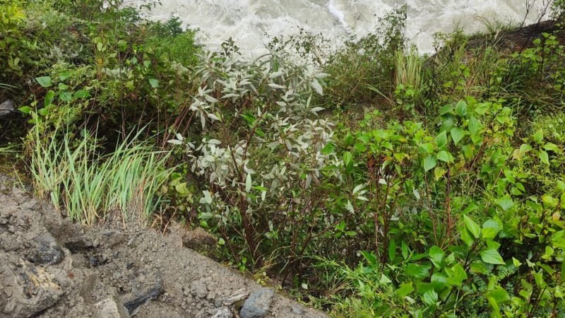 उत्तरकाशी ब्रेकिंग : हादसे की आशंका, यहां गायब हो गया वाहन!