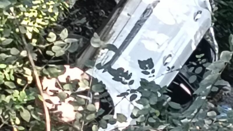 उत्तराखंड: खाई में गिरी कार, 4 युवक थे सवार