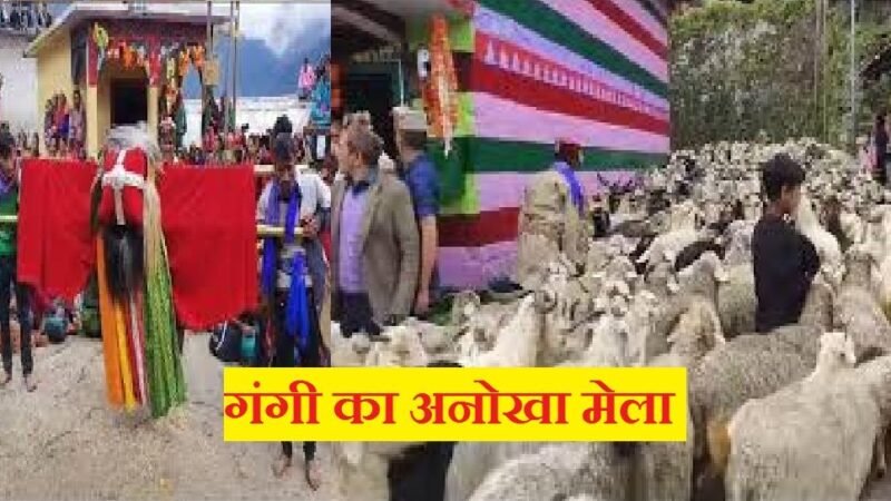 उत्तराखंड: यहां लगता है अनोखा मेला, ऐसा नजारा, जिसे देखने उमड़ता है सैलाब