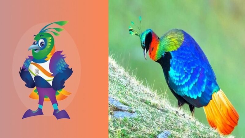 राष्ट्रीय खेलः ‘मौली’ के रूप में शुभंकर का नया अवतार. 