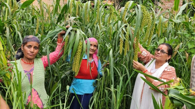 उत्तराखंड : स्वेता बंधानी के काम को यूनाइटेड नेशंस डेवलेपमेंट प्रोग्राम (UNDP) ने सराहा