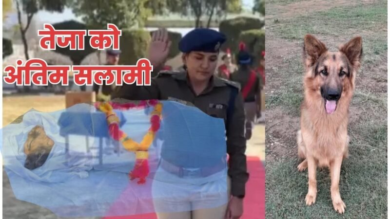 अलविदा तेजा : पिथौरागढ़ पुलिस का योद्धा, जो हमेशा याद रहेगा…VIDEO