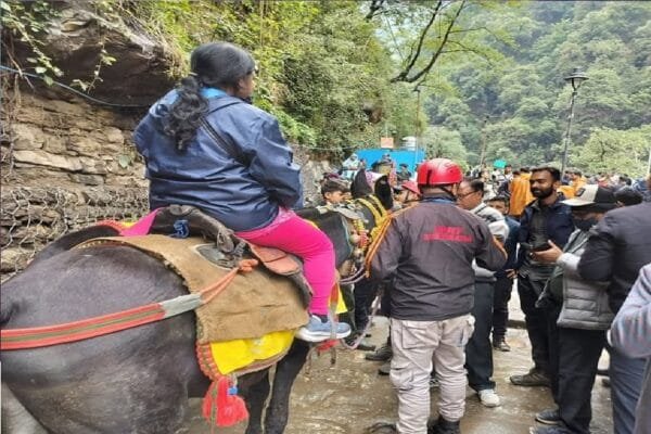 केदारनाथ यात्रा : बगैर जांच के यात्रा पर नहीं जायेंगे घोड़े-खच्चर, बढाई गई डंडी-कंडी की संख्या