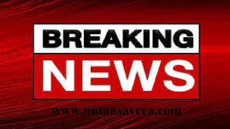 उत्तरकाशी में बड़ा हादसा, मैक्स वाहन पर पेड़ गिरा, 6-7 लोगों के घायल होने की सूचना