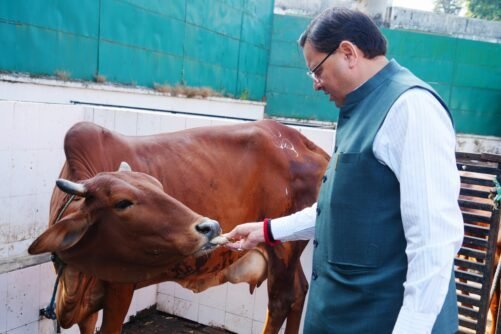 मुख्यमंत्री पुष्कर सिंह धामी ने गोवर्धन पूजा पर की गौमाता की पूजा, गौ-संरक्षण को लेकर कही बड़ी बात