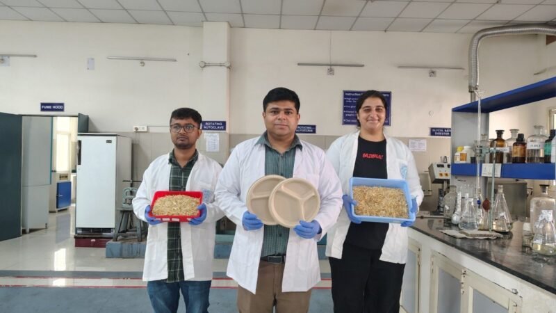 IIT रुड़की का इनोवेशन: भूसे से बनाए टेबलवेयर, प्लास्टिक प्रदूषण और पराली जलाने की समस्या का समाधान