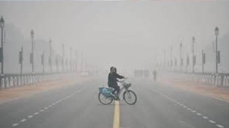 उत्तराखंड में घने कोहरे का येलो अलर्ट, कई जिलों में शीत दिवस की स्थिति बनने के आसार