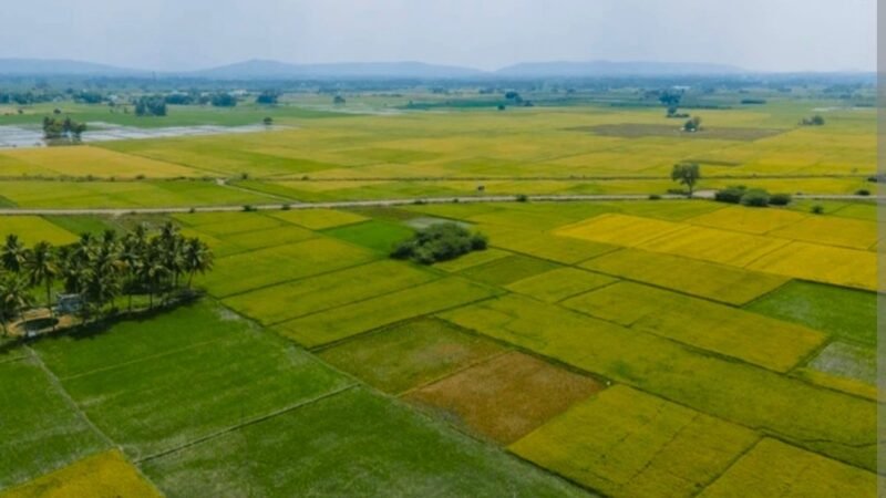 उत्तराखंड: जनजातीय क्षेत्र में 10 बीघा जमीन की खरीद पर उठे सवाल, जम्मू-कश्मीर निवासी पर आरोप, पाकिस्तान से आया वीडियो?