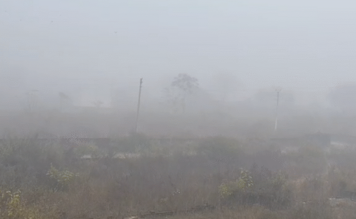 उत्तर भारत में भीषण शीतलहर और घने कोहरे का प्रकोप जारी, आज भी उड़ानें रद्द, रेल यातायात भी प्रभावित 