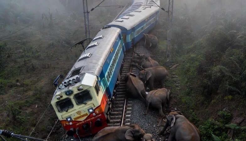 असम में दर्दनाक हादसा: राजधानी एक्सप्रेस की चपेट में आए हाथियों के झुंड, 8 की मौत; इंजन सहित 5 डिब्बे पटरी से उतरे